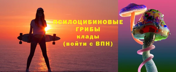 марки lsd Ельня