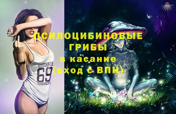 марки lsd Ельня